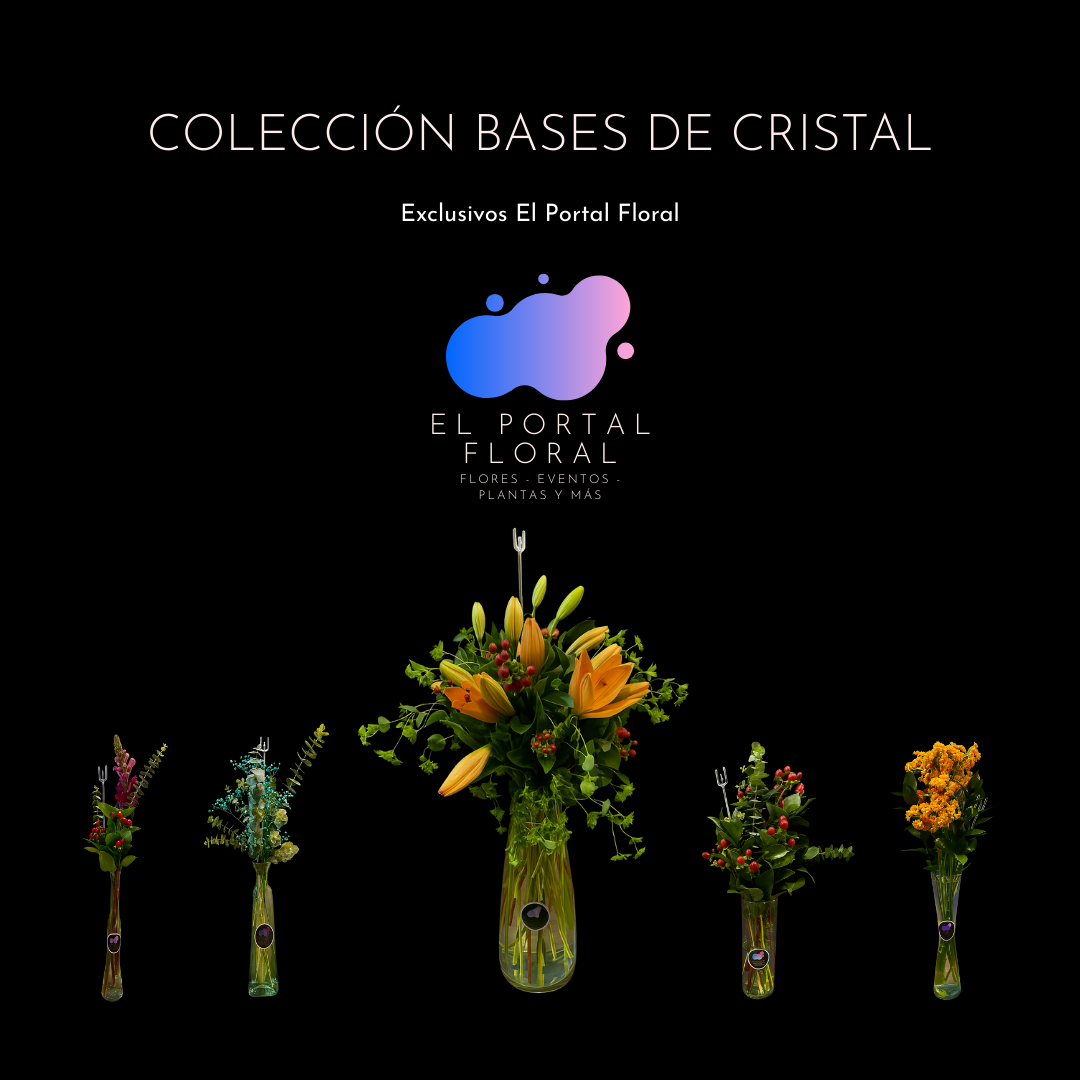 COLECCIÓN BASES DE CRISTAL - EL PORTAL FLORAL