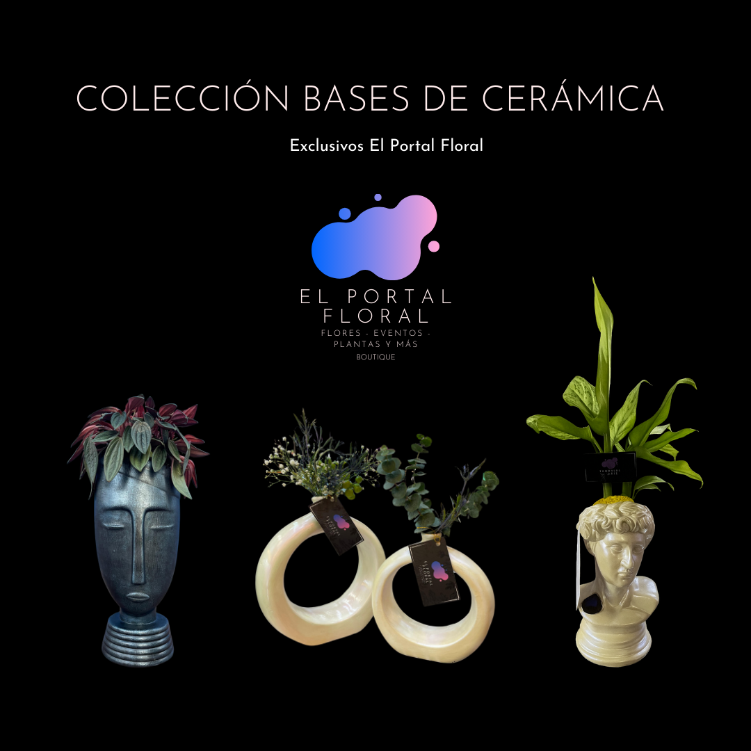 COLECCIÓN BASES DE CERÁMICA - EL PORTAL FLORAL