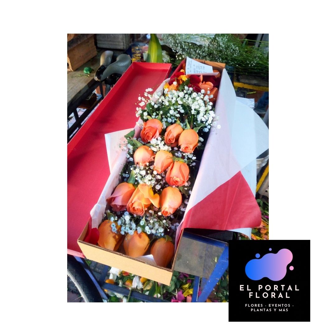 CAJA ATARDECER SALMON