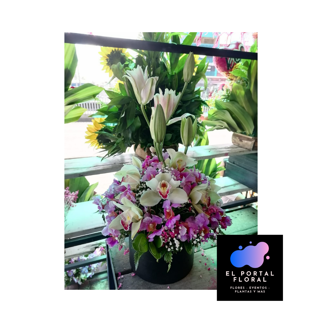 CAJA HAREM DE ORQUÍDEA