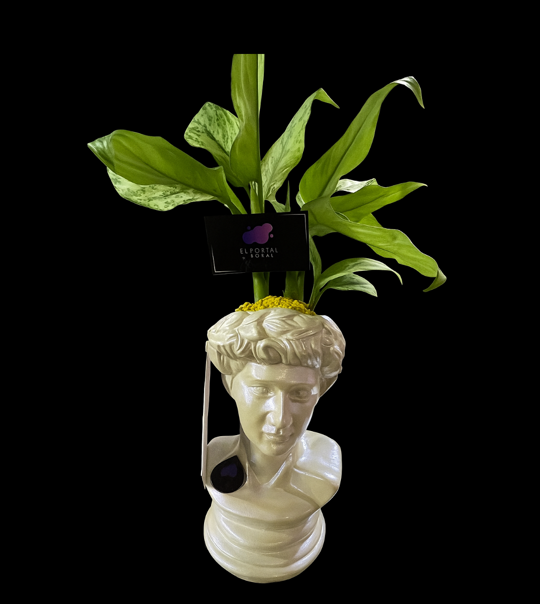 Bases de cerámica el portal foloral