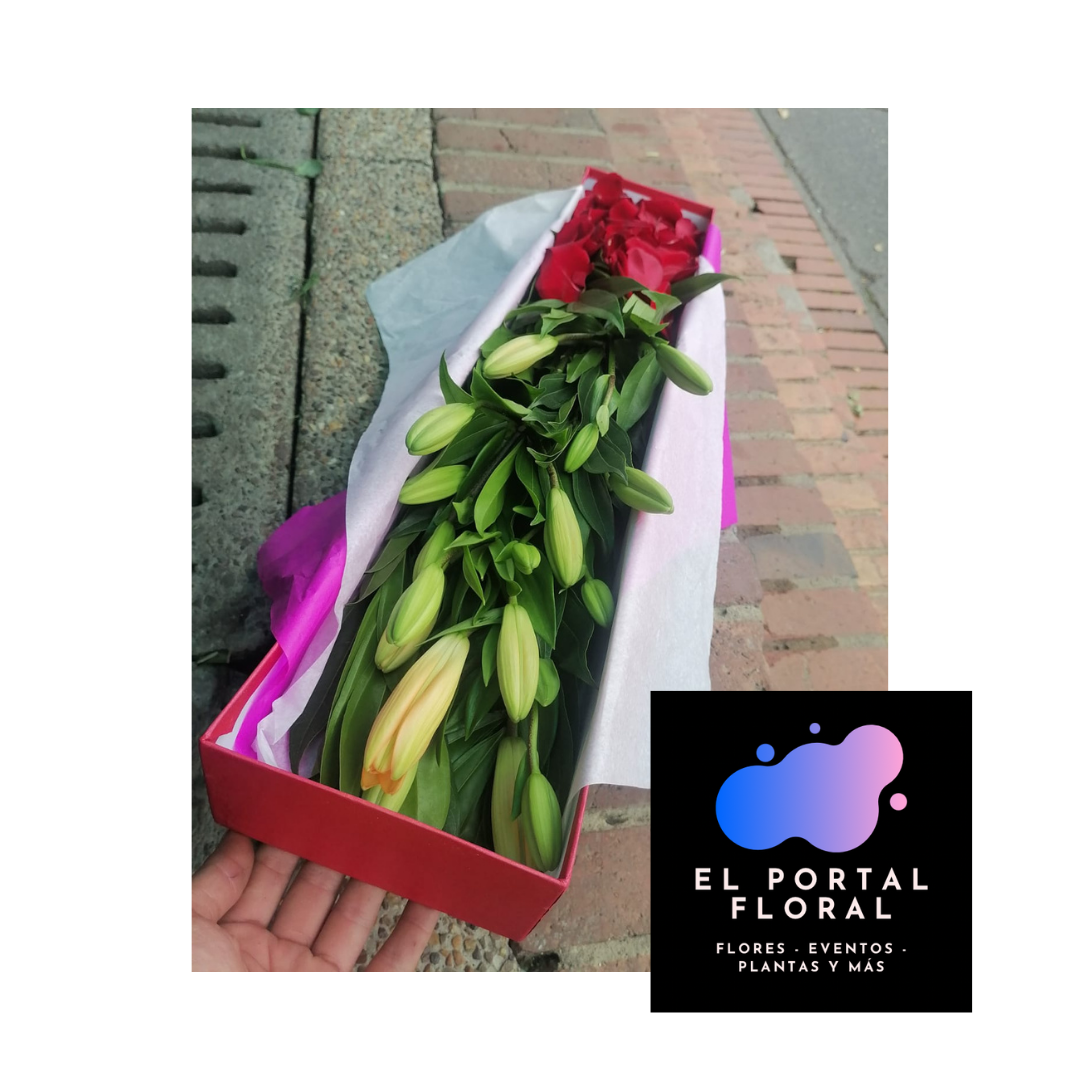 CAJA LIRIO DEL JAPÓN