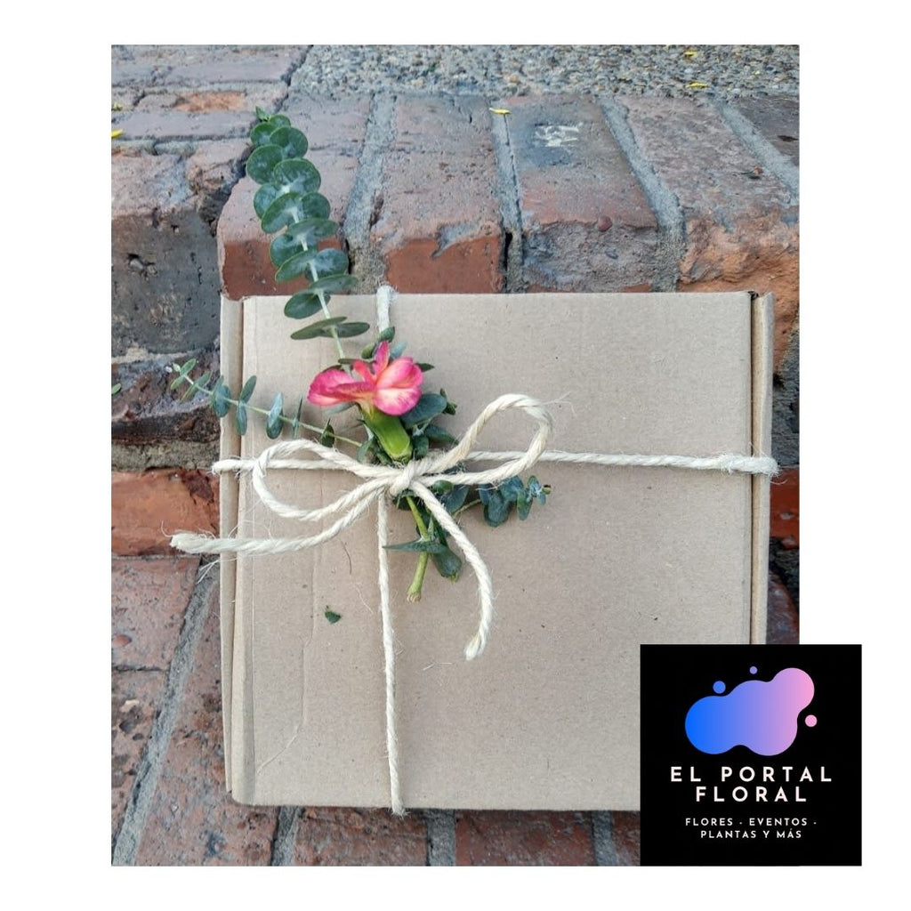 CAJA CORONITA SUNSET