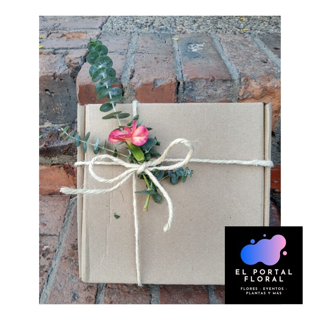 CAJA CORONITA SUNSET