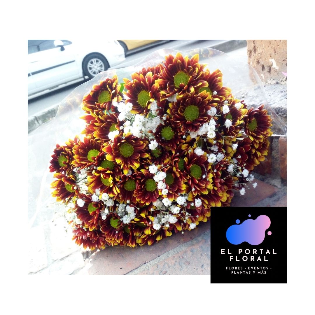 Bouquet Margaritas El Portal