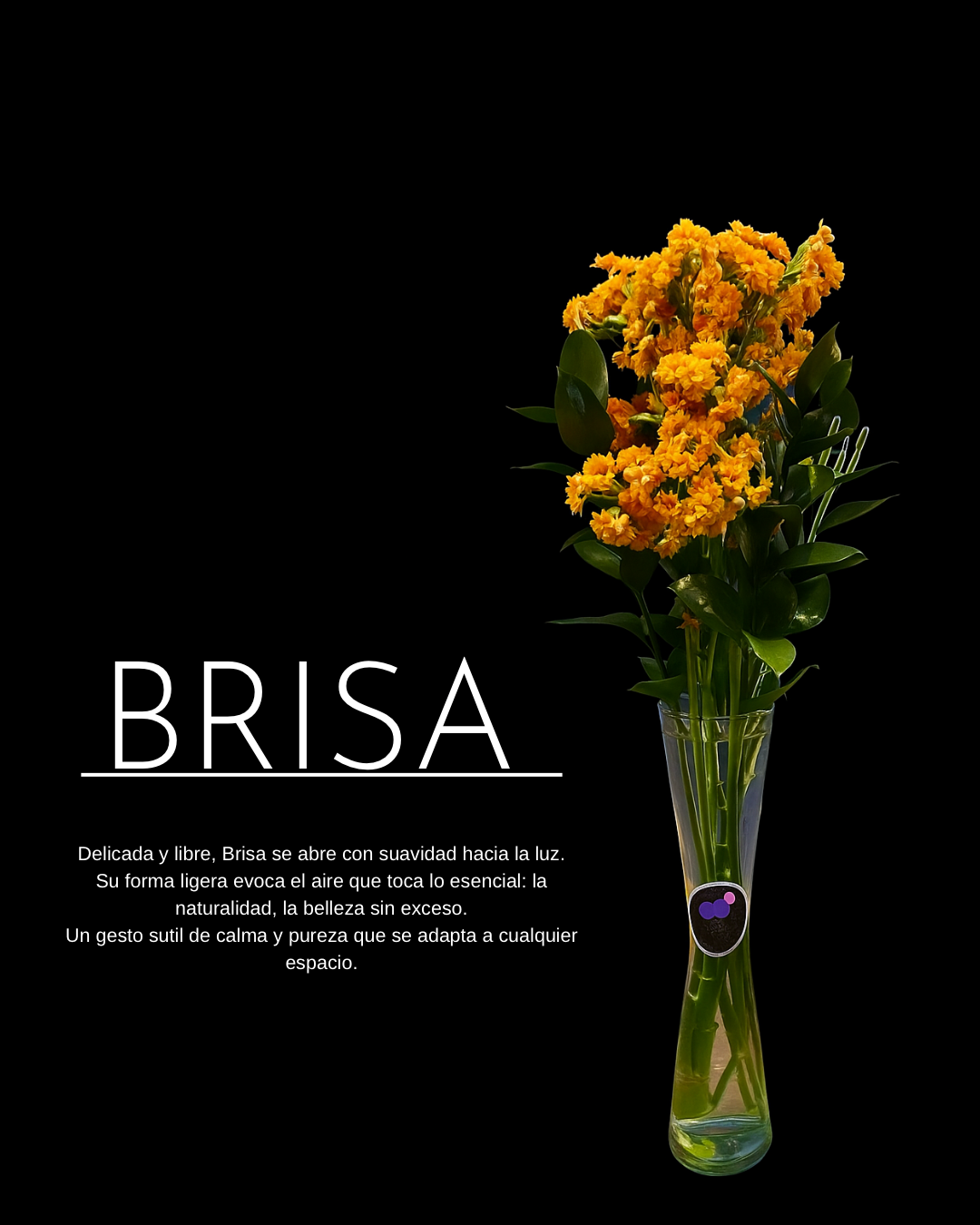 SOLITARIO “BRISA” - COLECCIÓN BASES DE CRISTAL